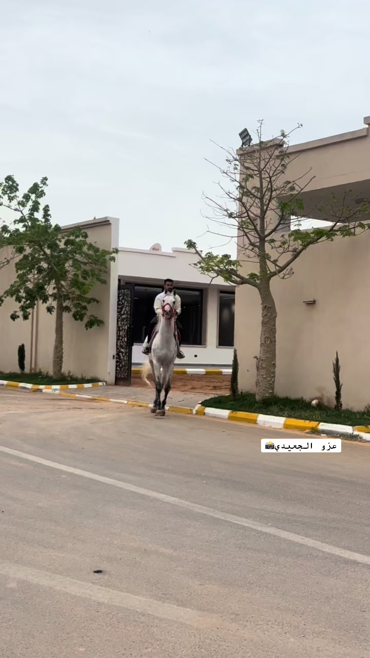 @عزو الجعيدي