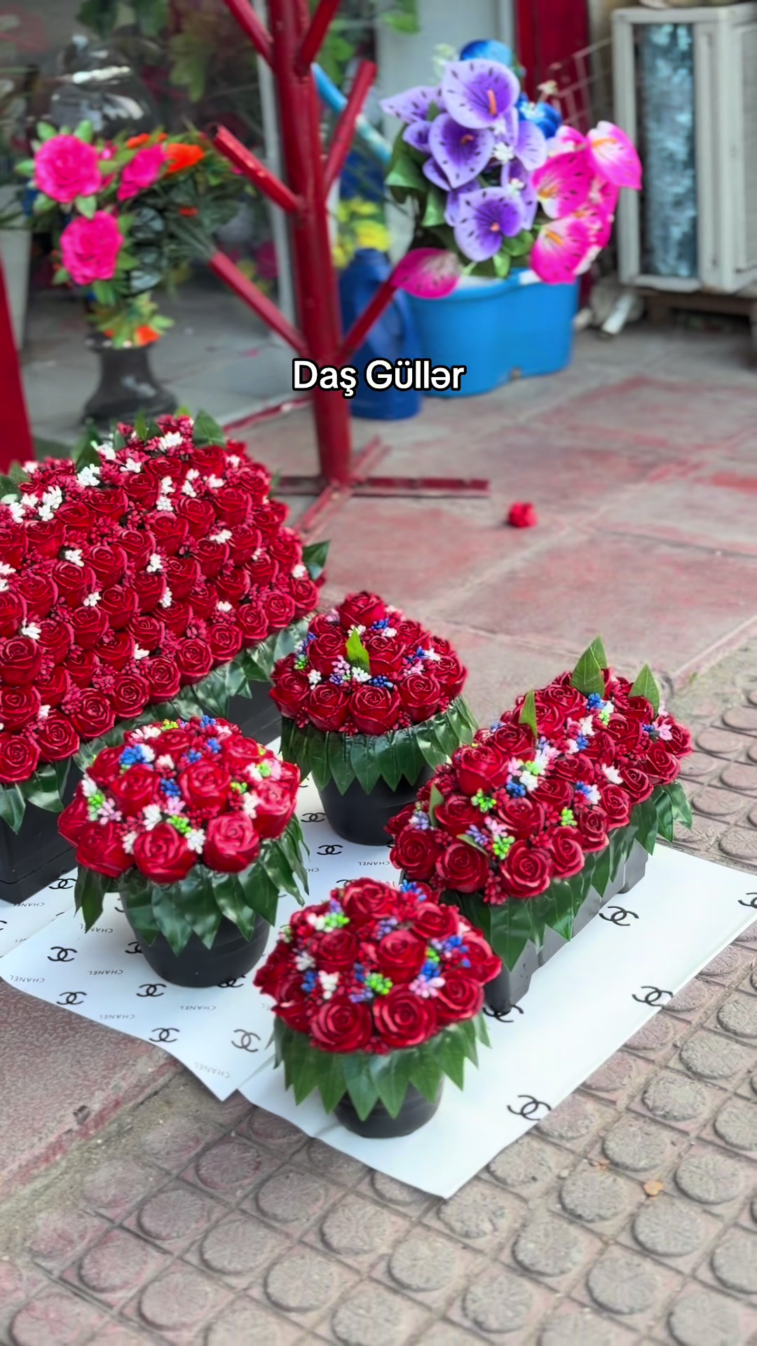 @A&ccedil; &Ccedil;i&ccedil;eyim Ağdam
