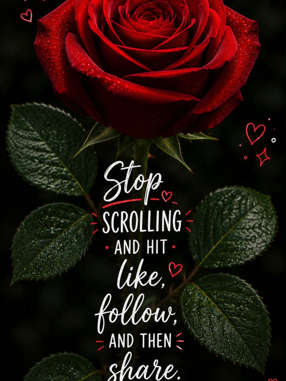 @optimistic.chic.334
