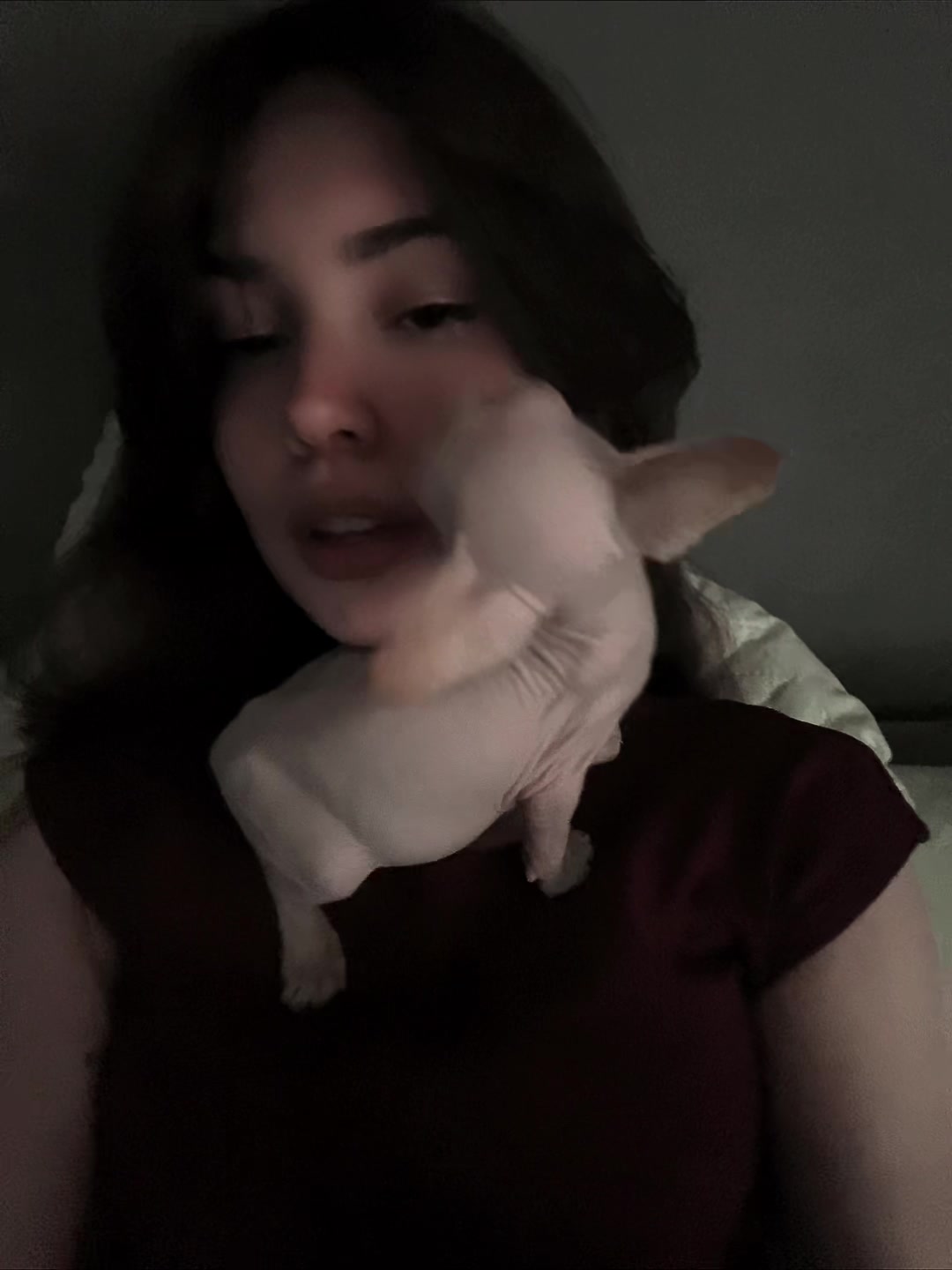 @rozevikas1