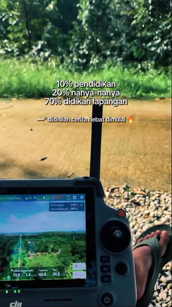 @D.kingfarm