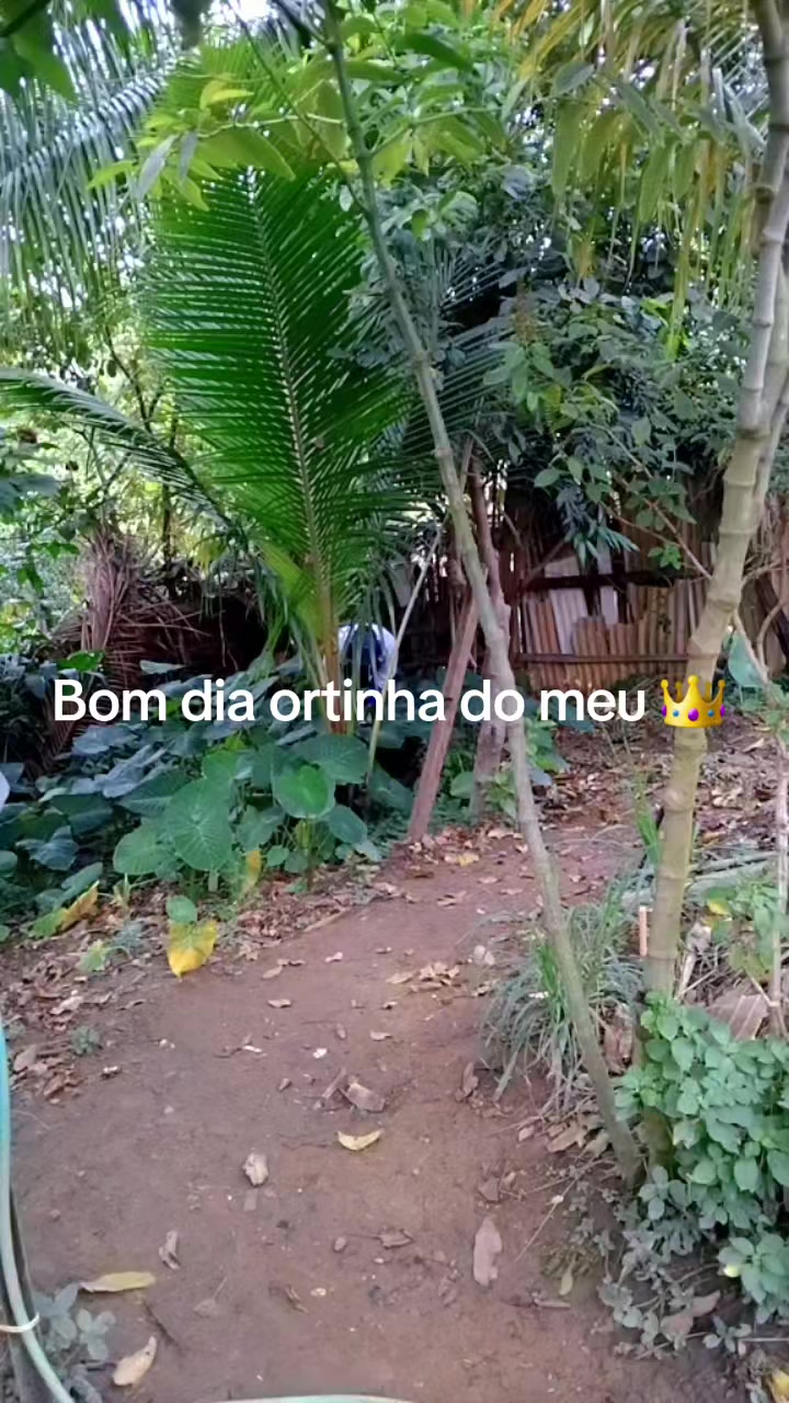 @Carla Braz