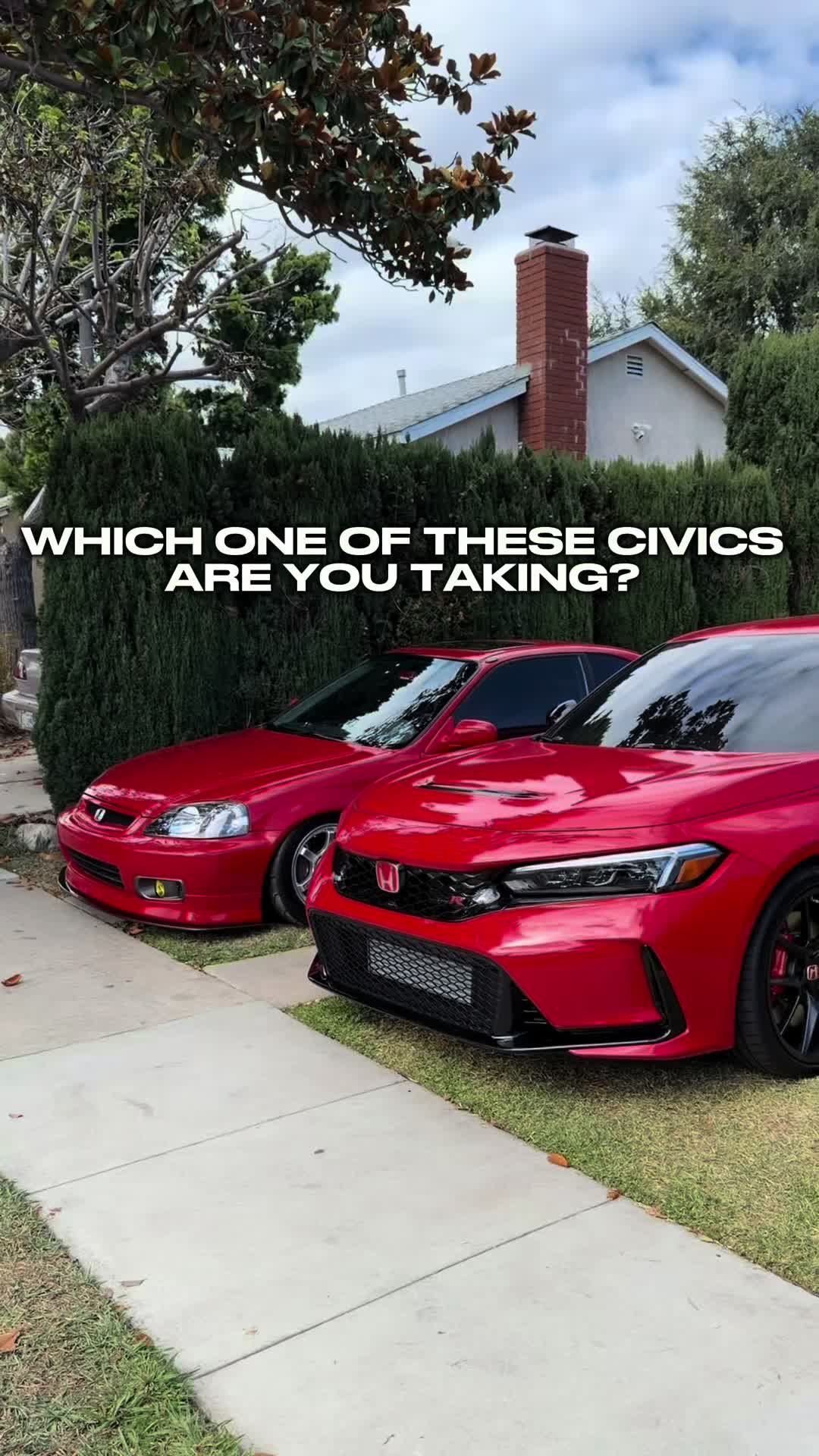@alonzomuro
