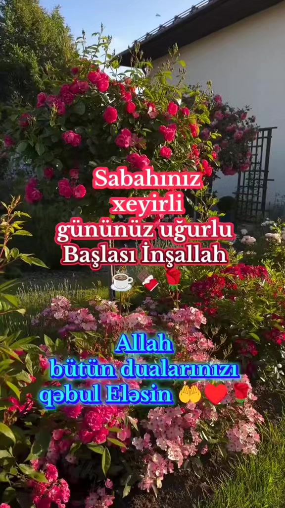 @Nilay_2021