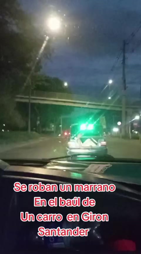 @german29a