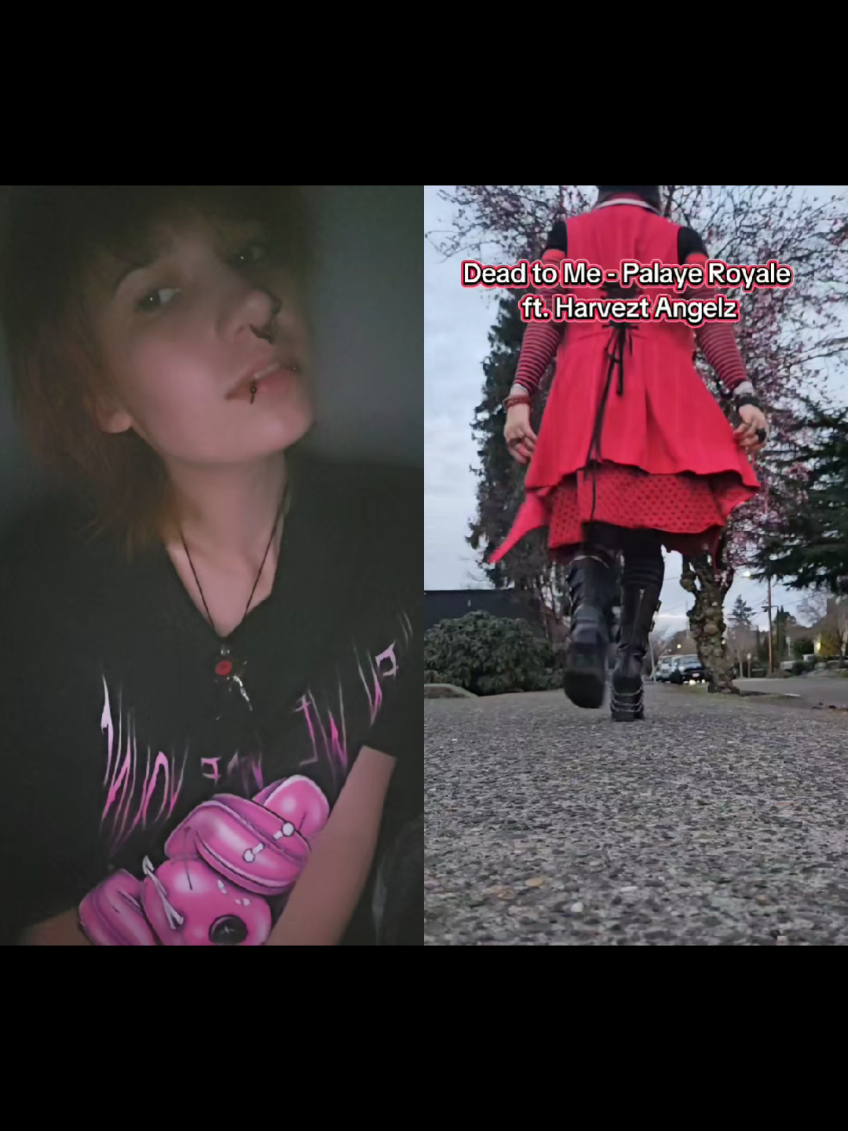 @Harvezt Angelz