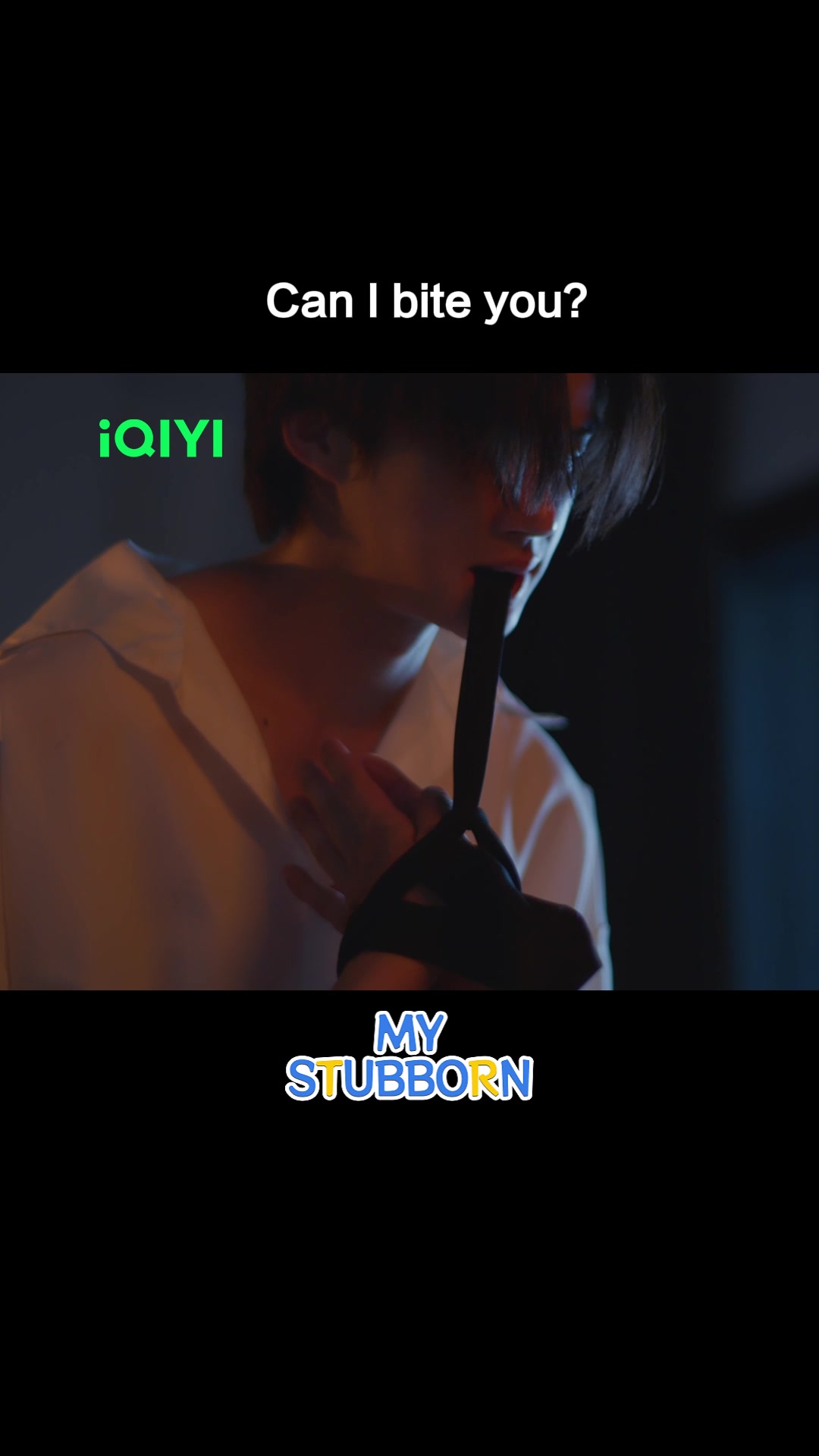 @iQIYI North America