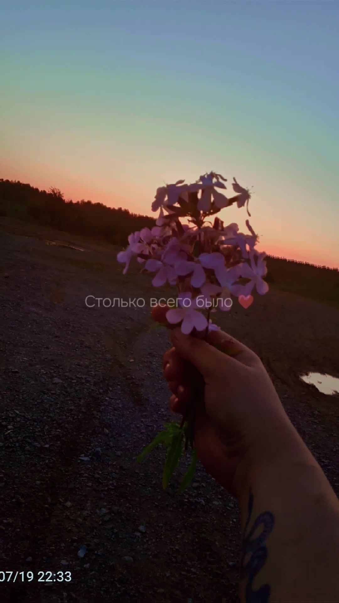@Анастасия Скрипова