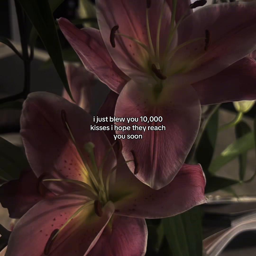 @luvbump