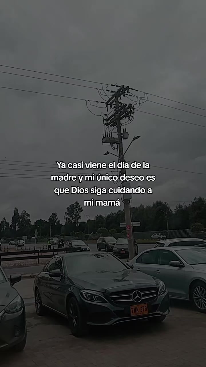@mary castillo