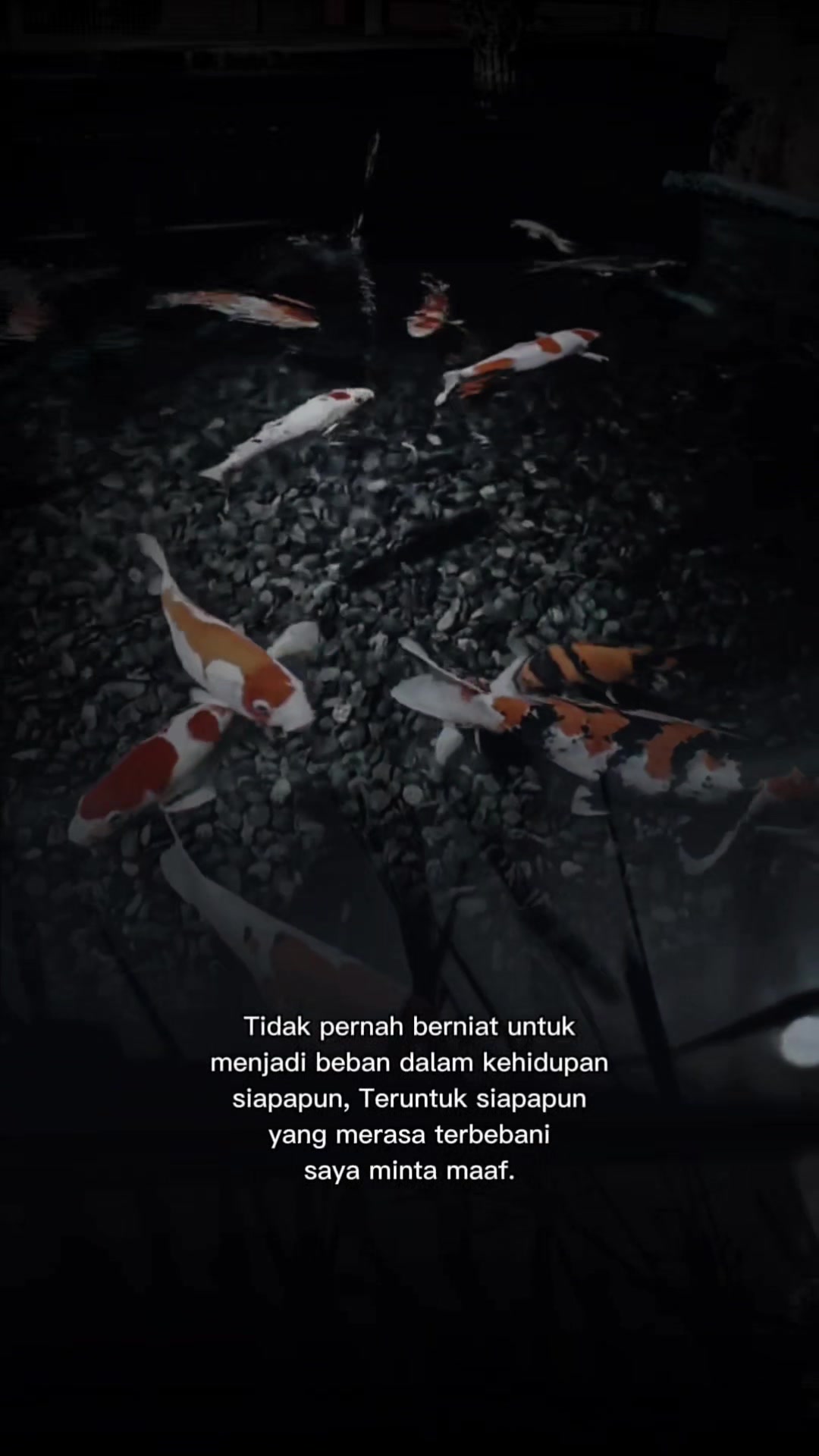 @Rizky Story