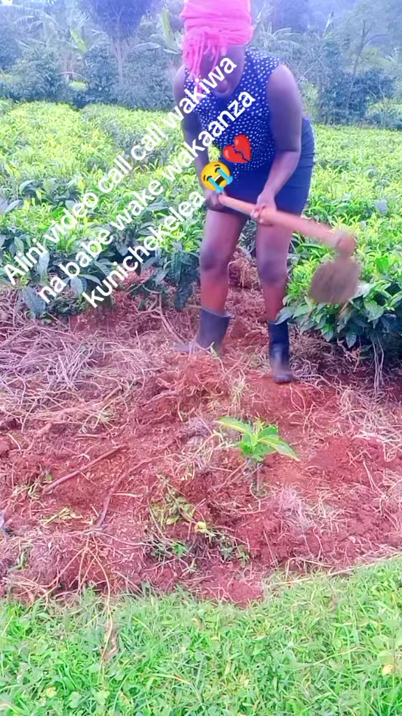 @bridgitkwamboka