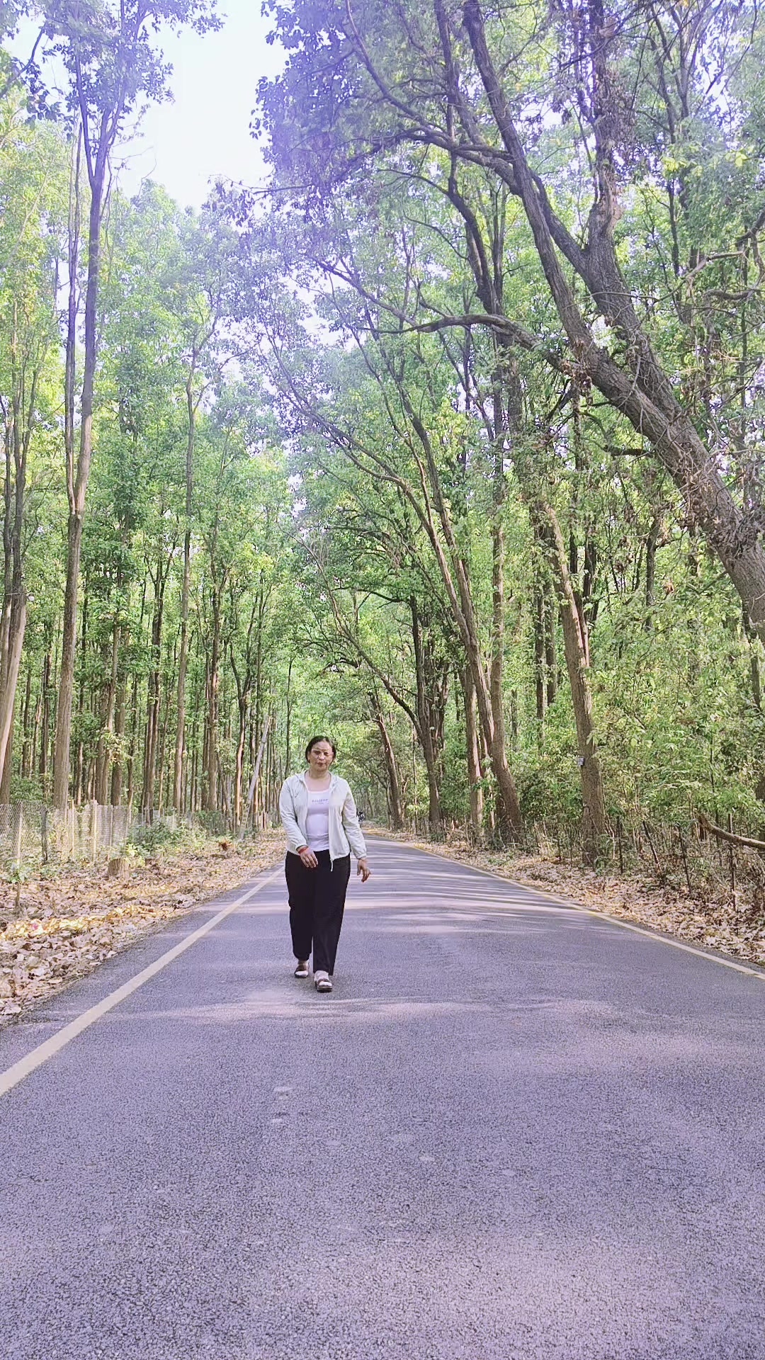 @Jaya Sinjali