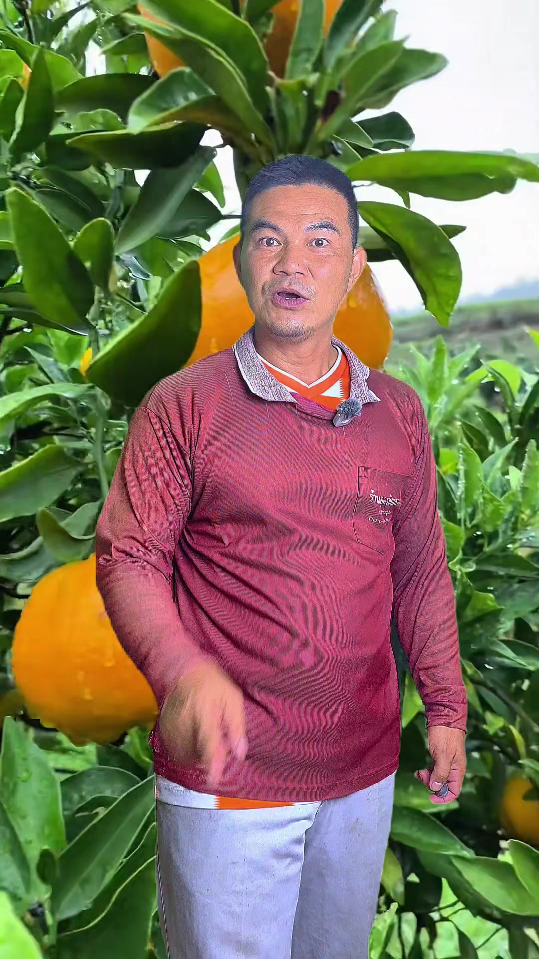 @Konloy
