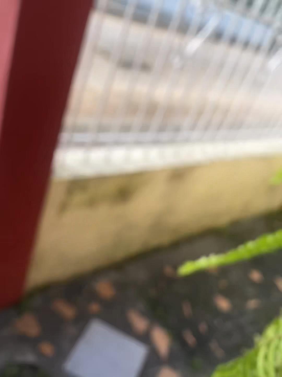 @G🎀