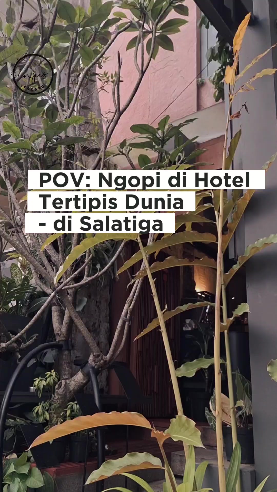 @injus.saestu