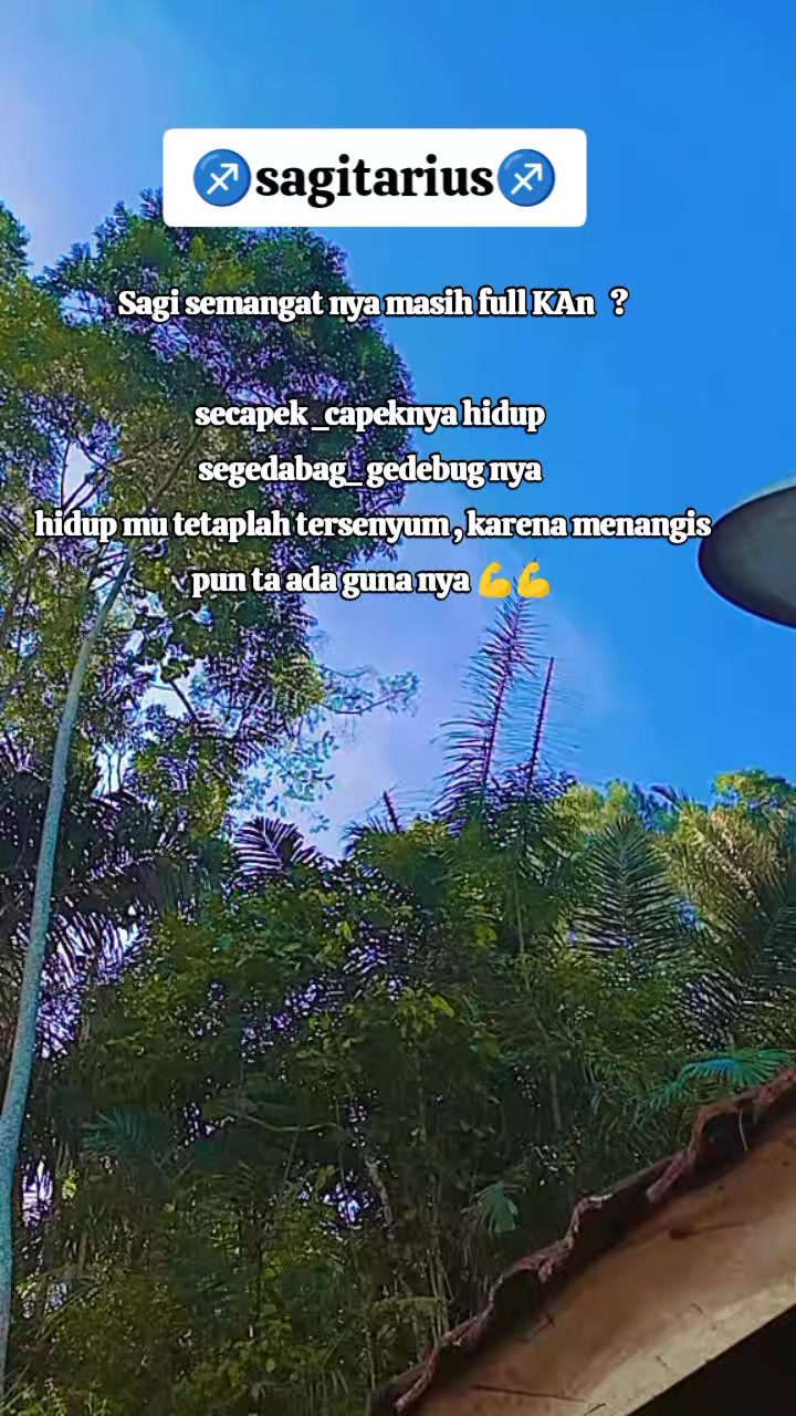@✨SAGIDES08♐