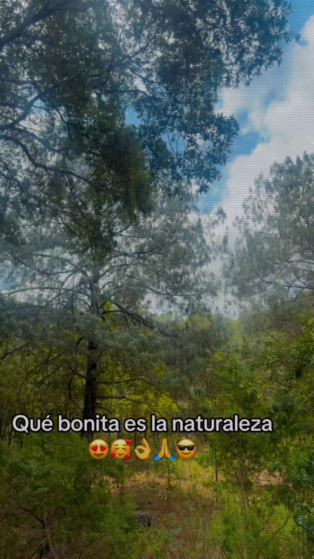 @vidalvidal 🖤💫