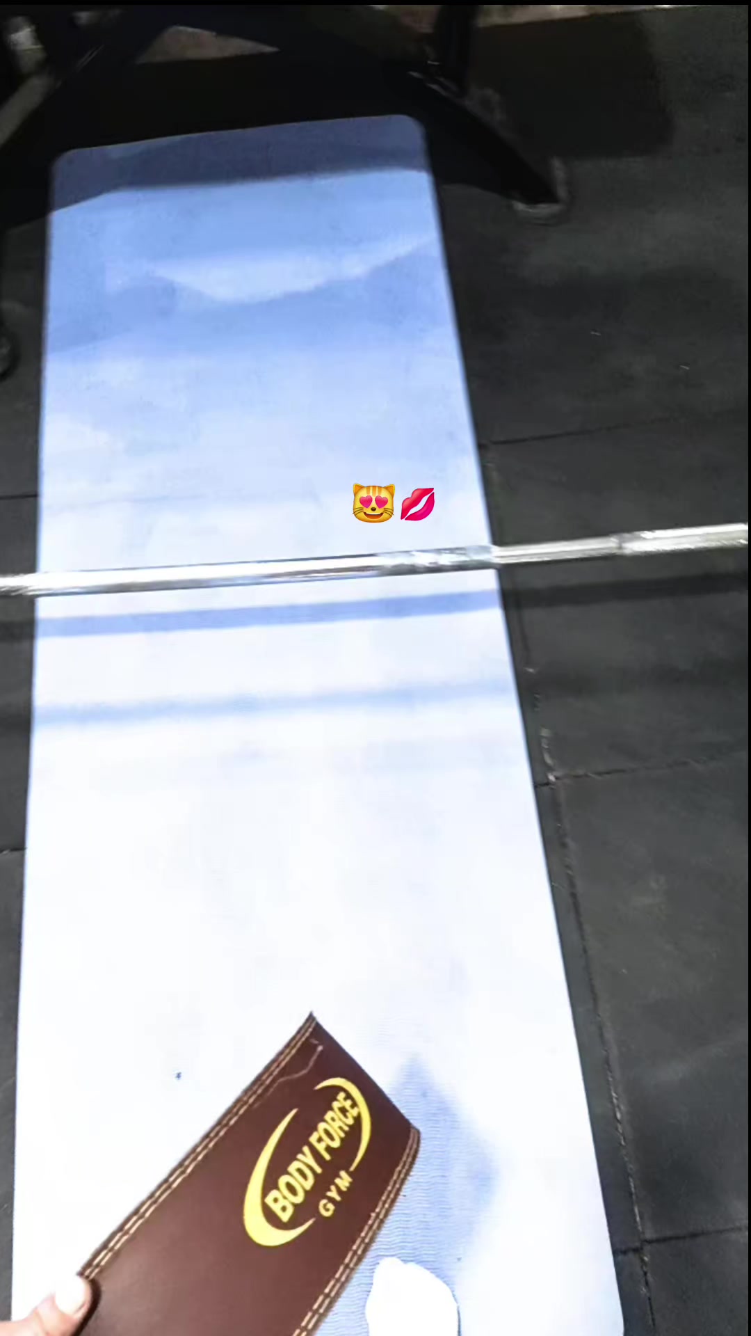@🦅 Steel Mikasa