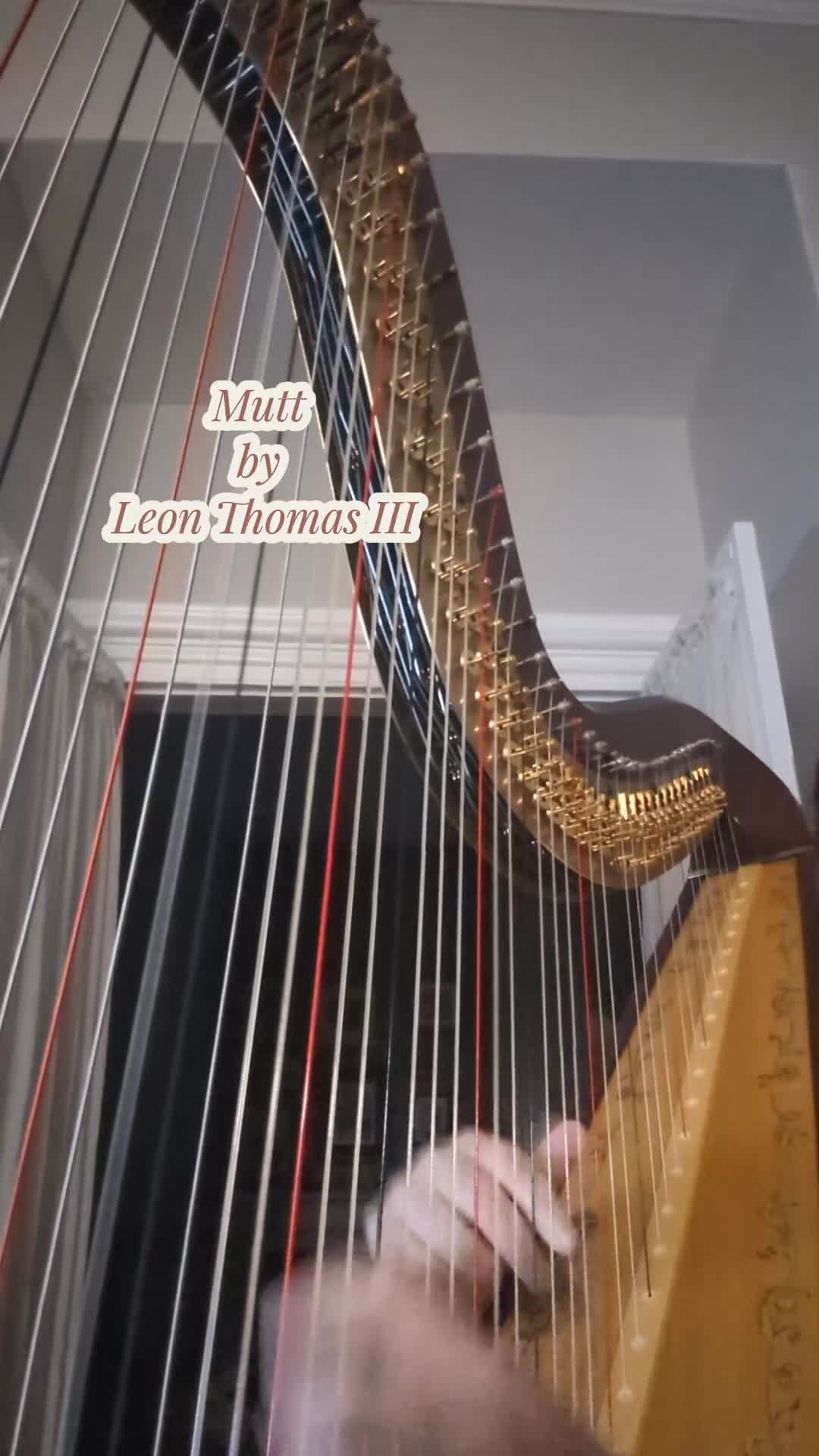 @Harpist Vanessa