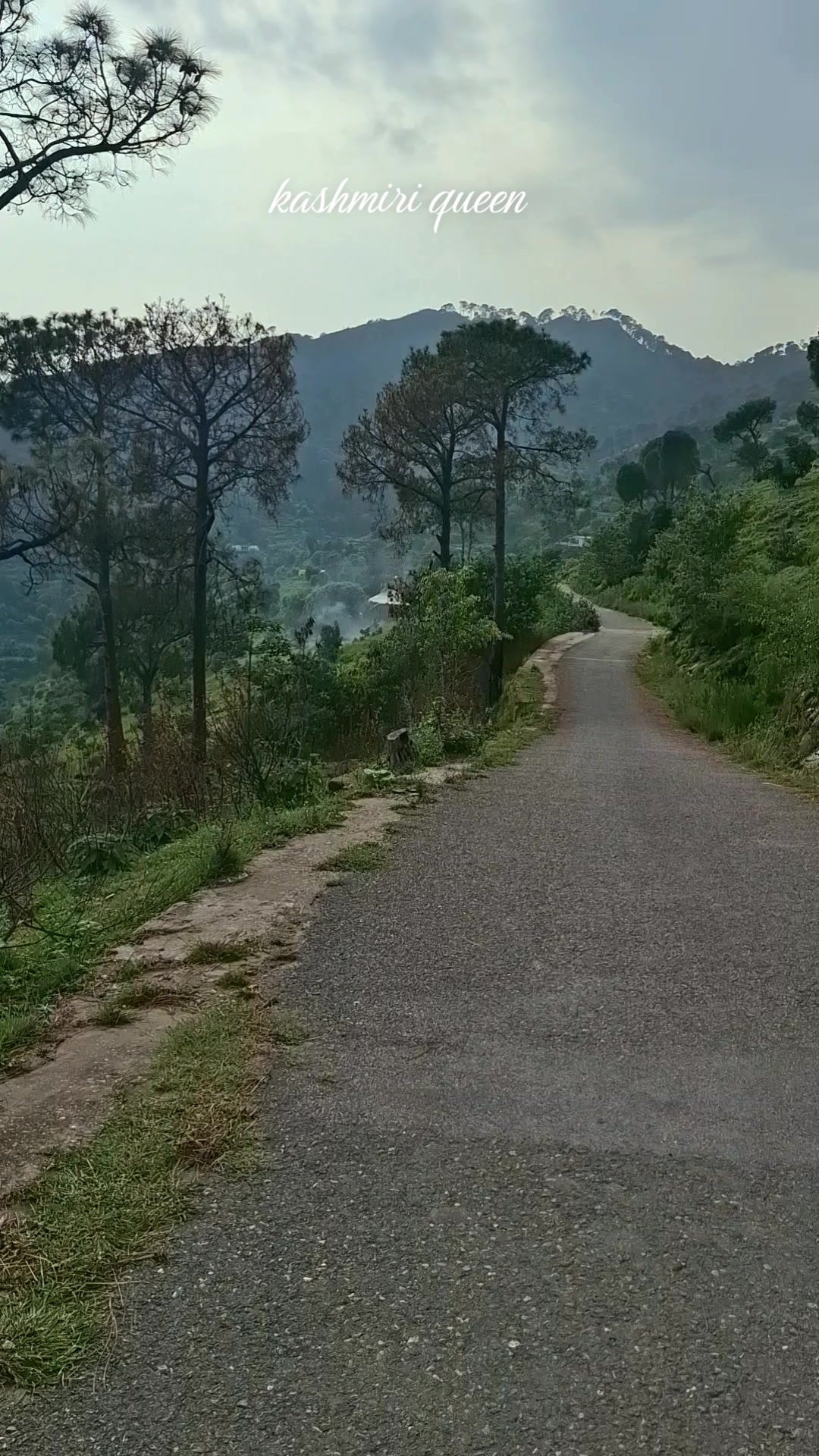 @kashmiri queen🚩