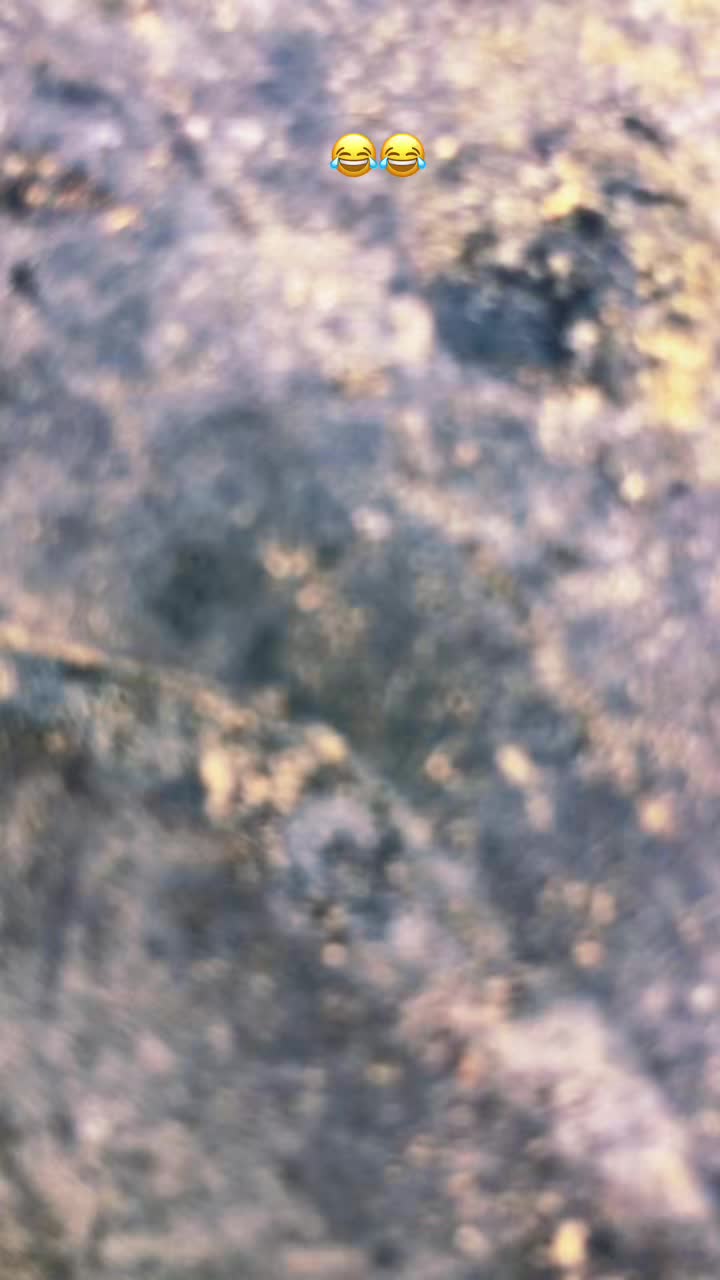 @ 🍀Jesús R 006❌🎈
