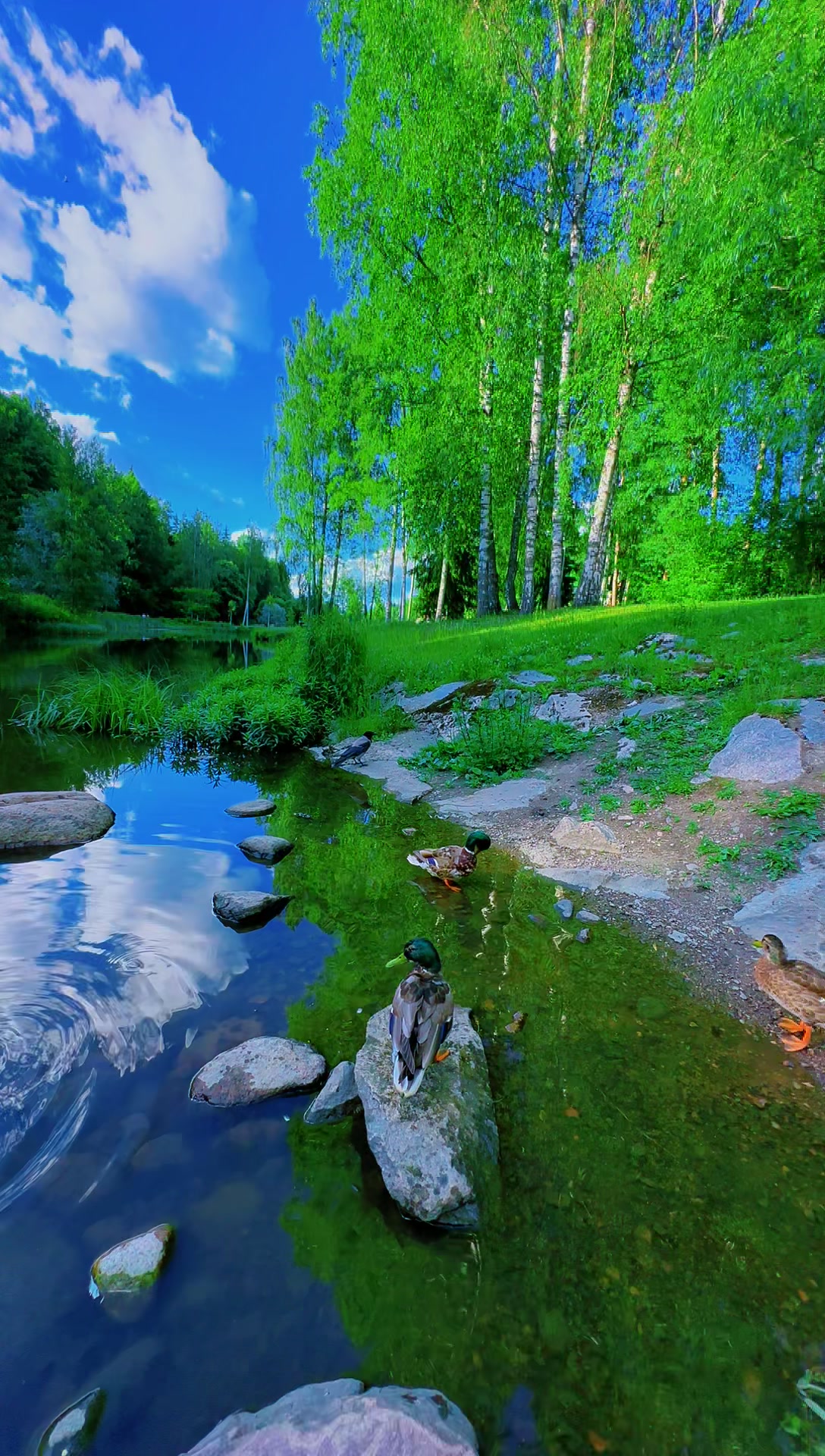 @Usama Sajjad Khan Tanoli