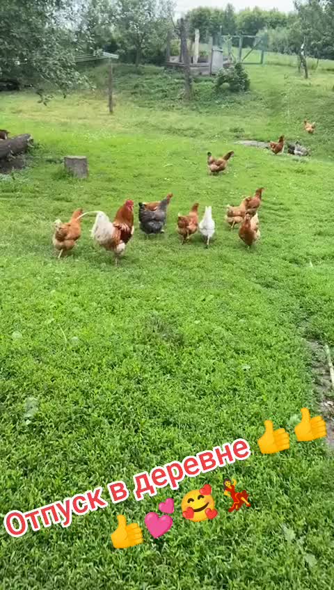 @nataliy77.77