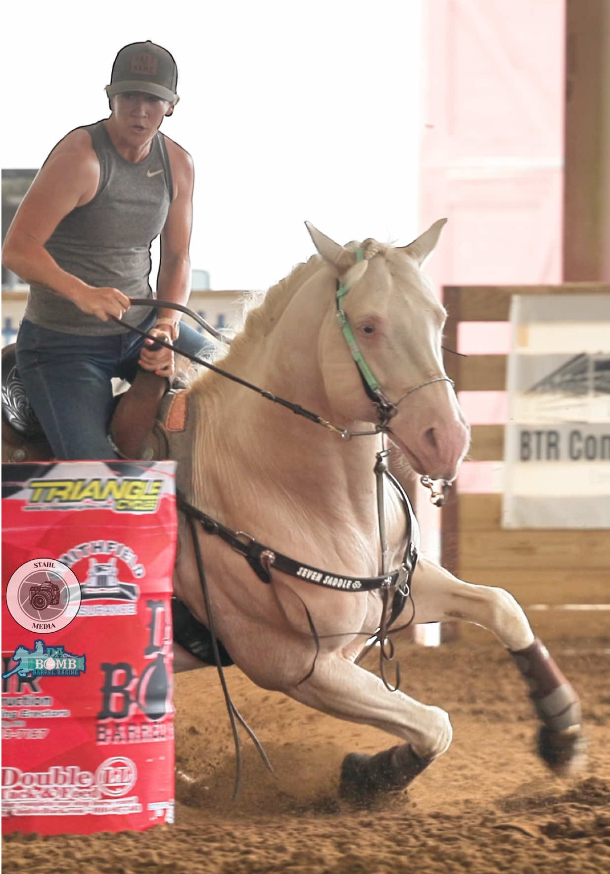 @KY Performance Horses