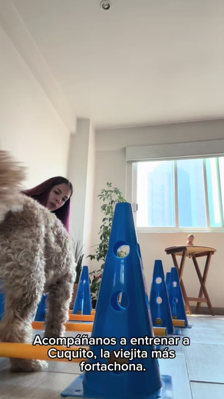 @lanutri.dogmom