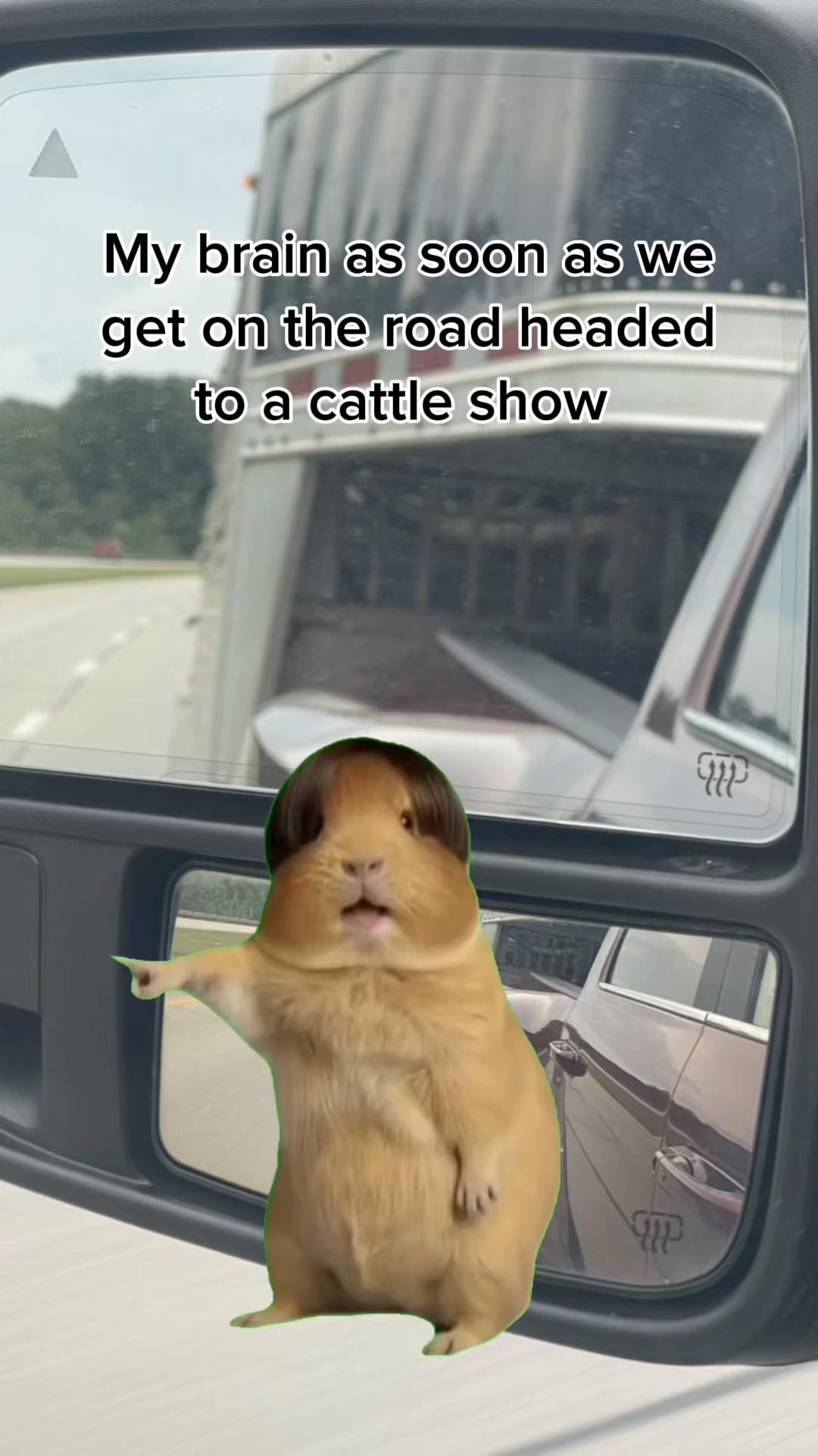 @Rebecca Scott