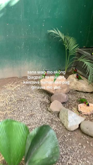@mikso.