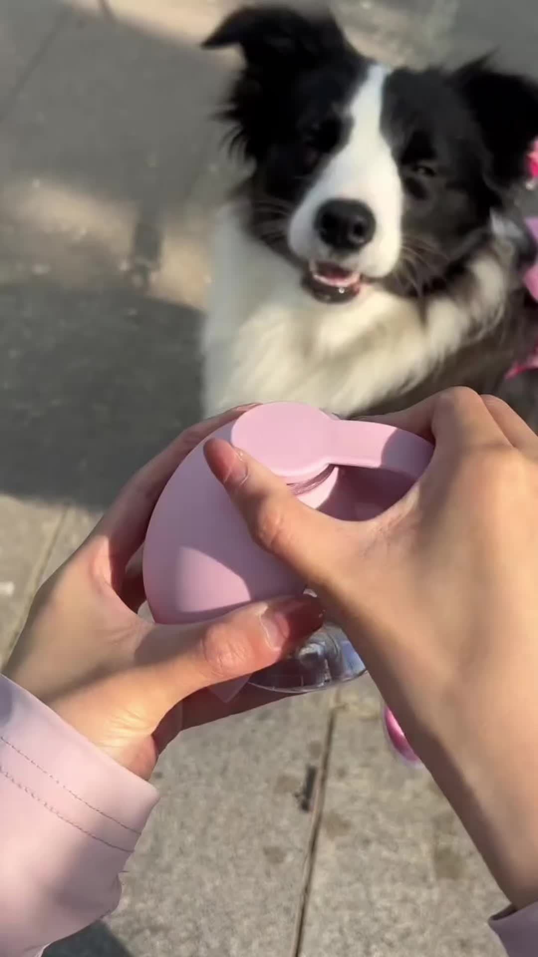 @Pet products