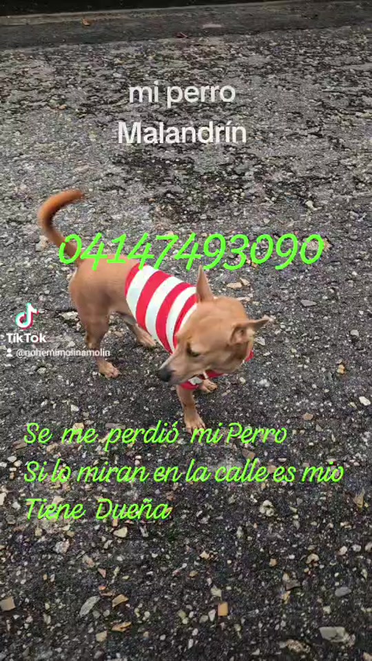 @nohemimolinagarcia