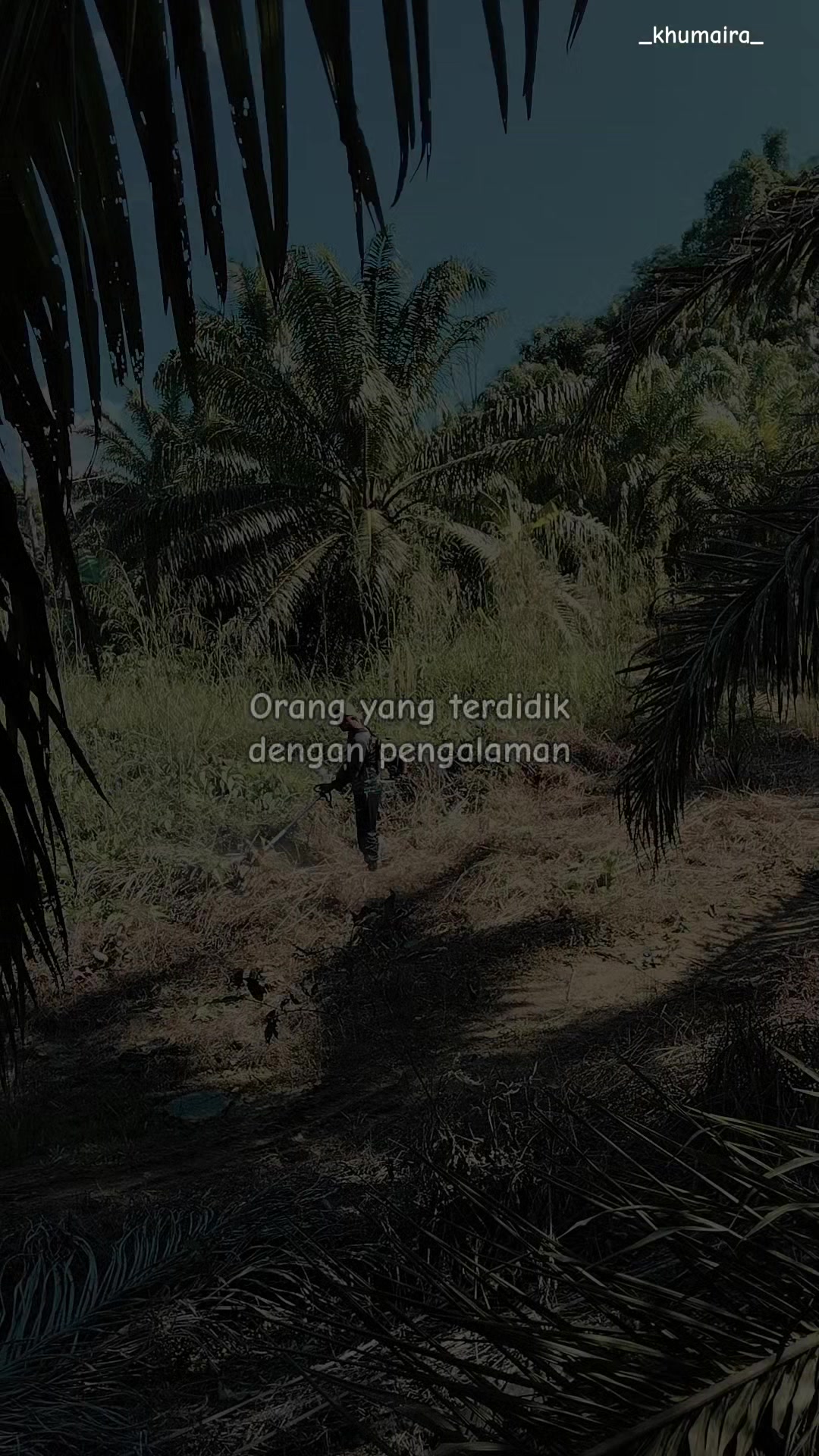@Cici Anggraini ❣️