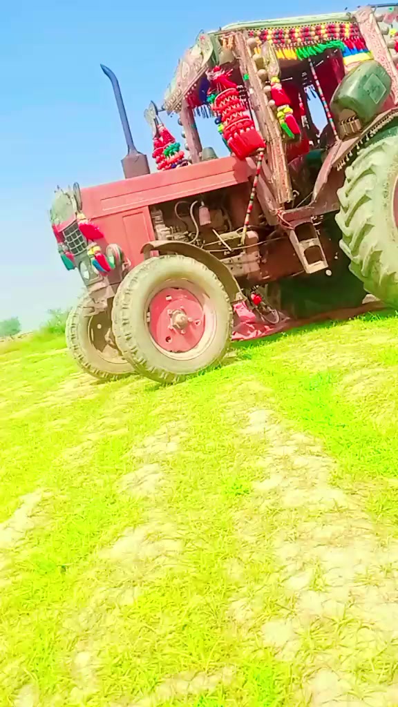 @gfhjdhvb