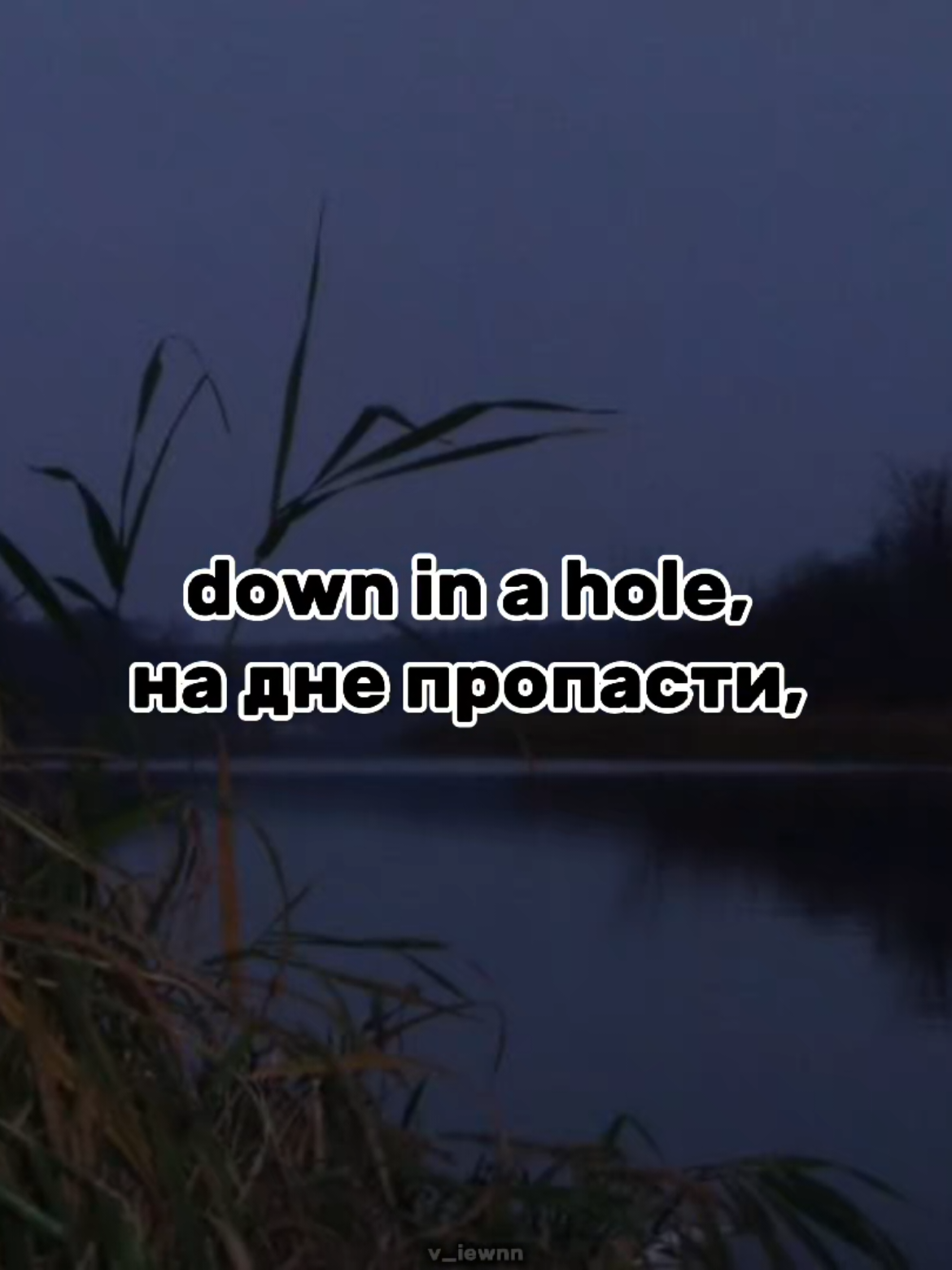 @𝓋𝒾ℯ𝓌𝒾𝓃'