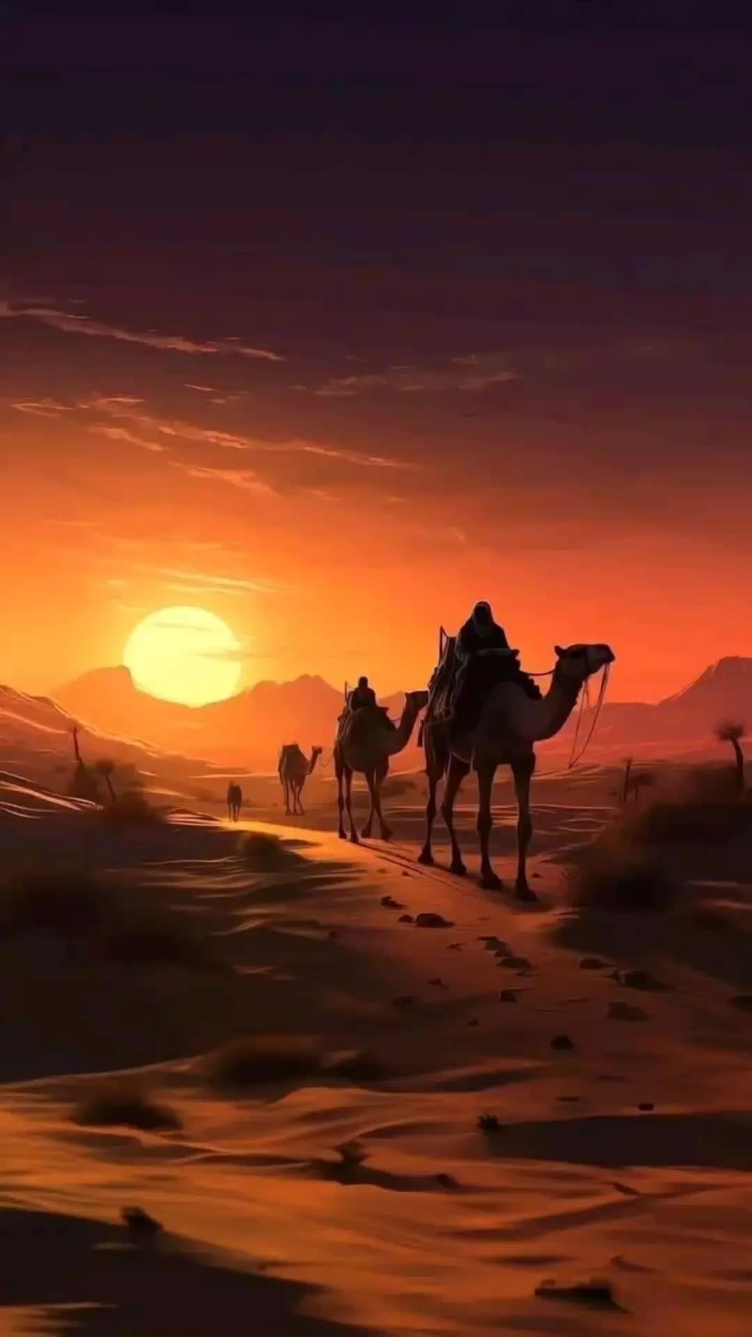 @Djoune la dominante 🥰🥰