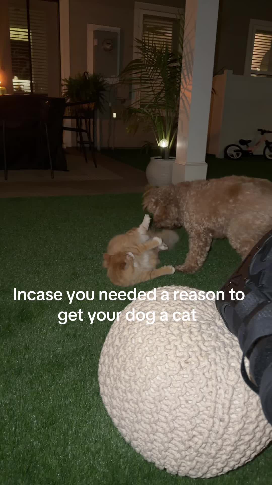 @ELYSE