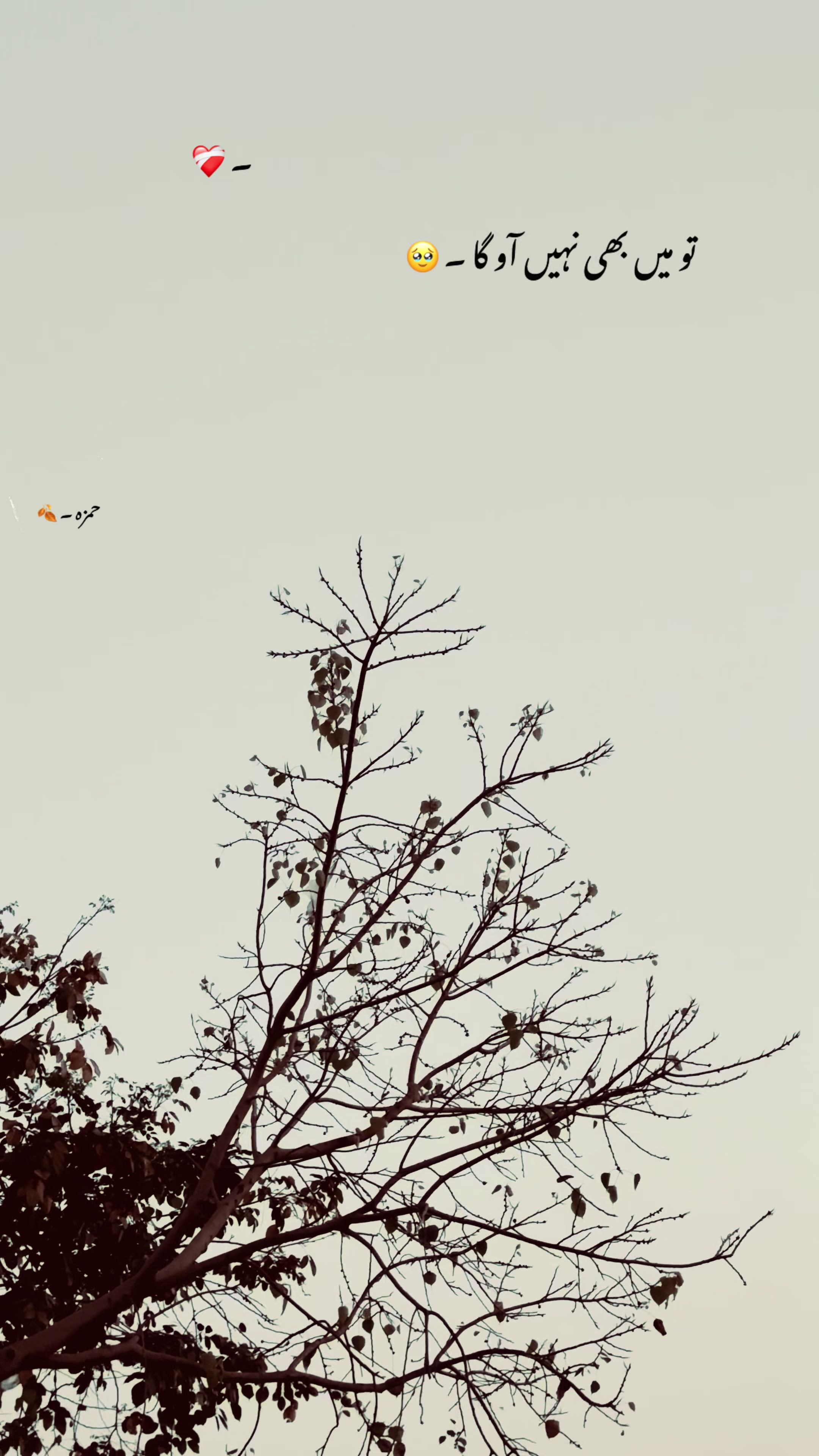 @حمزہ < ❤️&zwj;🩹