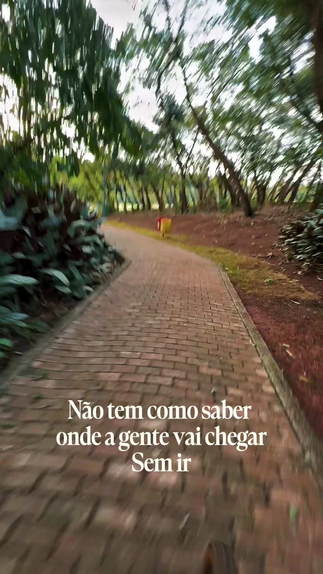 @Ivanety Saito