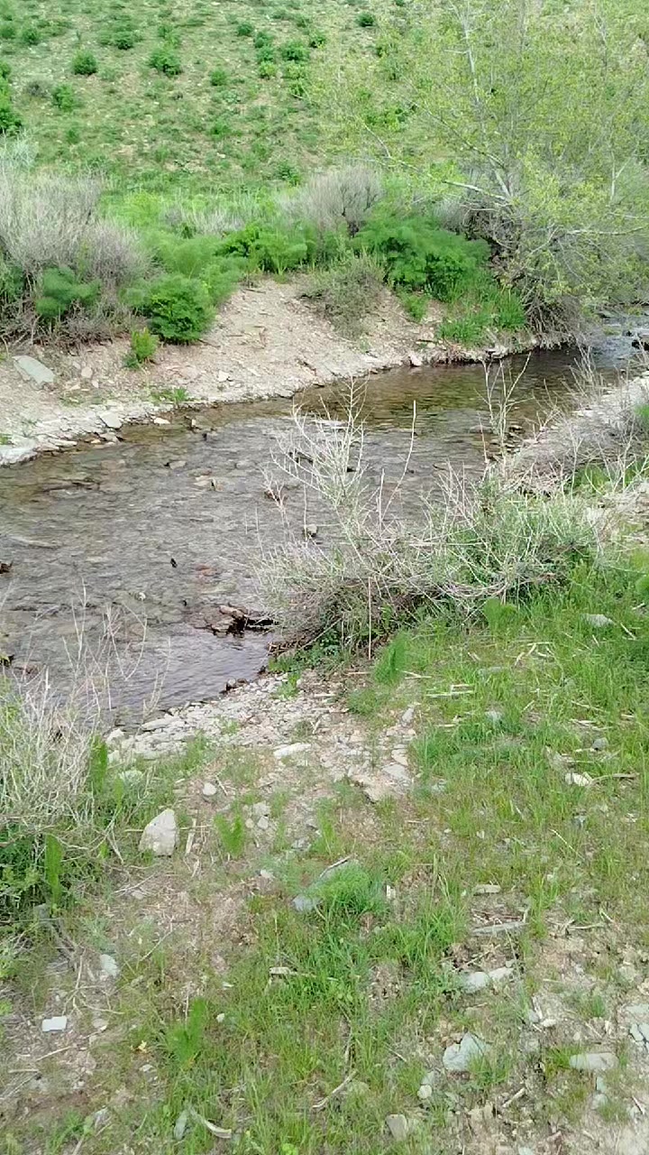 @ABDRASILOV NURJAN