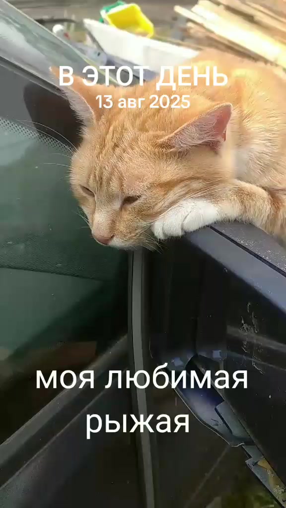@Юрик