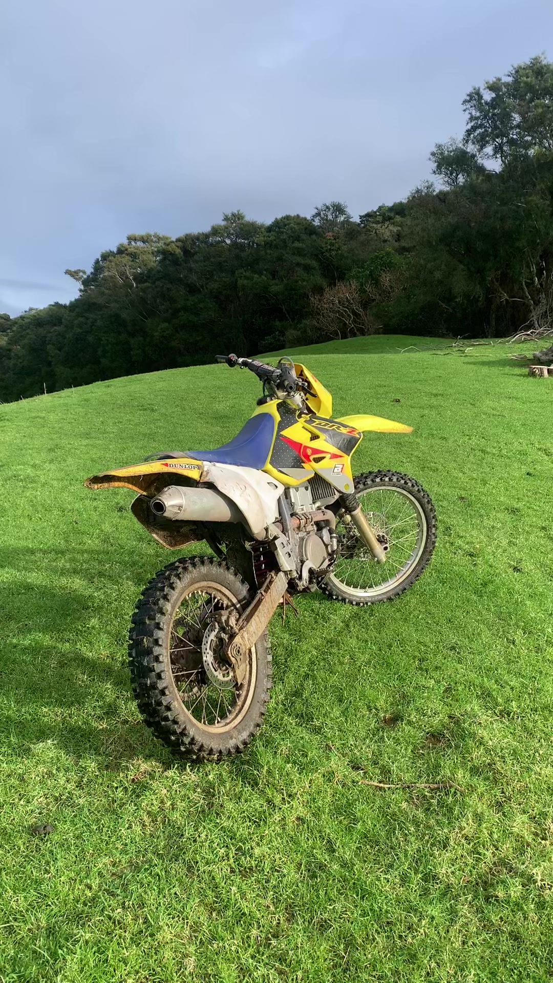 @DRZ Toby🫠
