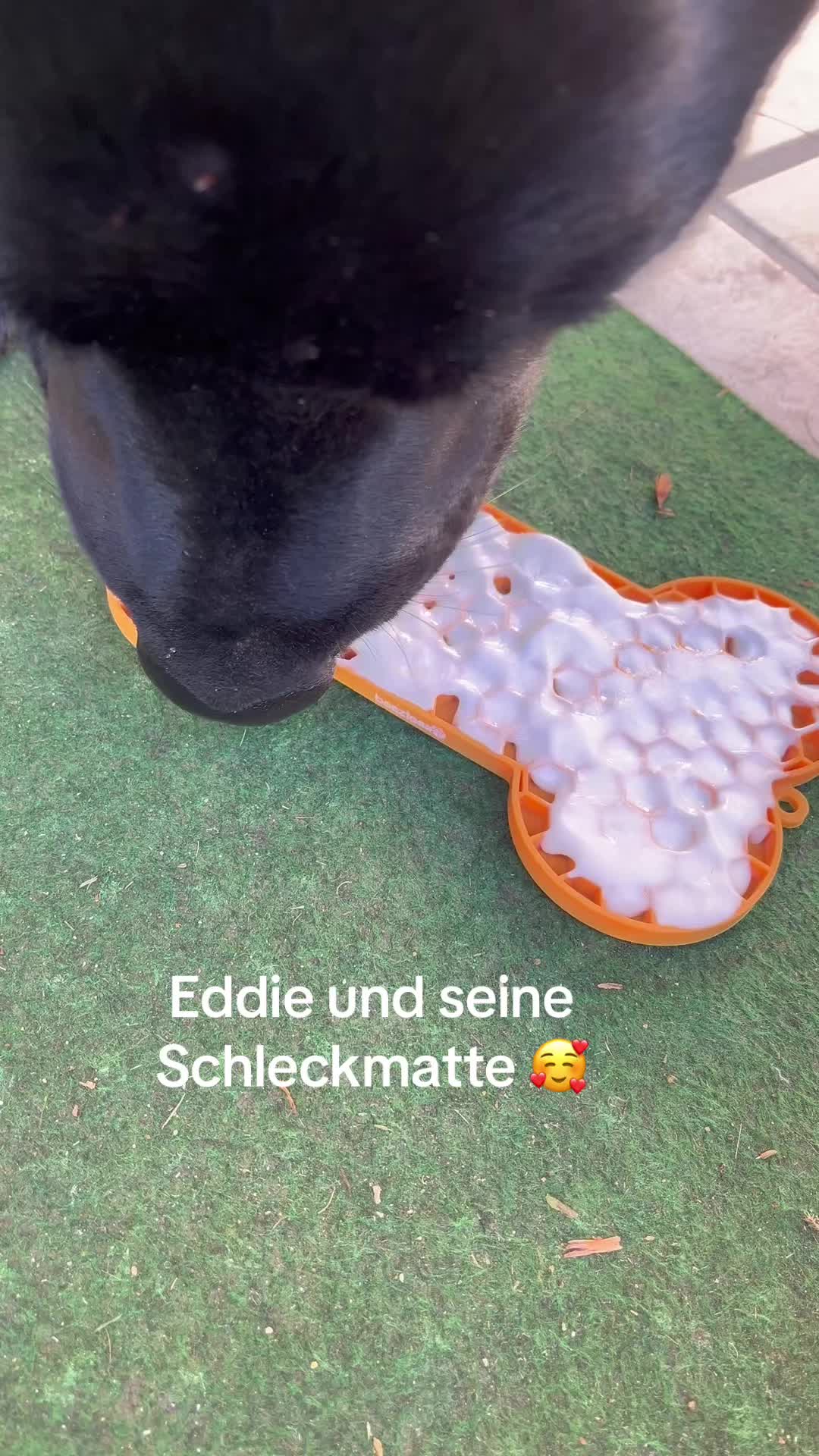 @Manuel,Aslan&Eddie🐾❤️