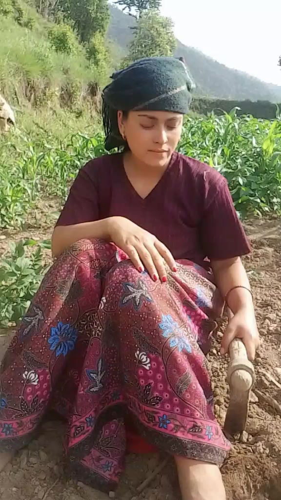 @rim kumari shipail