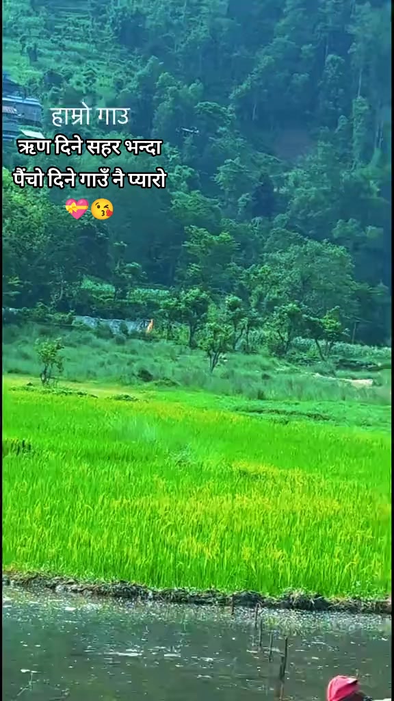@बन्दुके