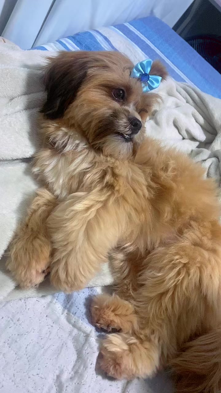 @JuRamos