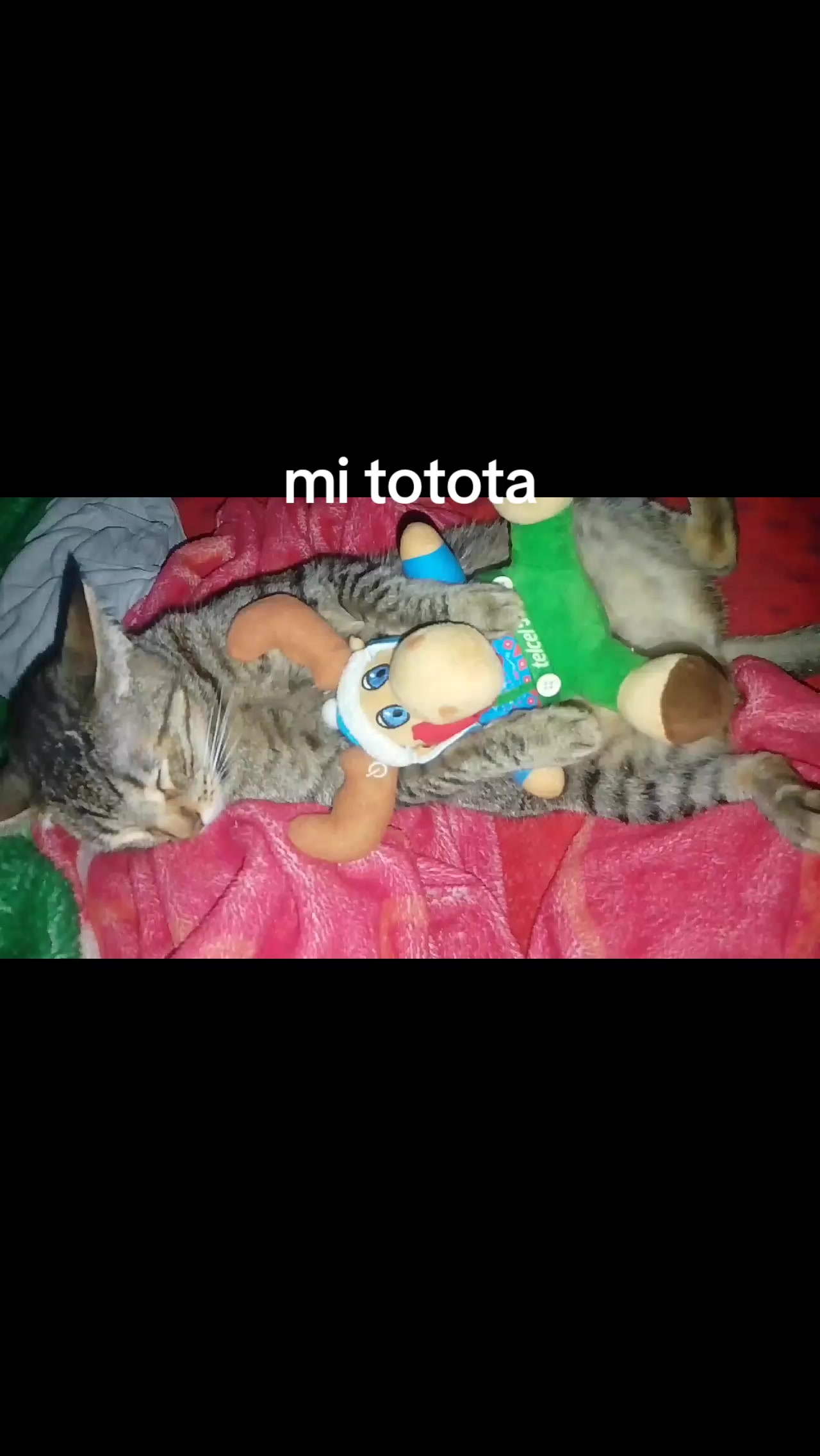 @Mary la orgullosa