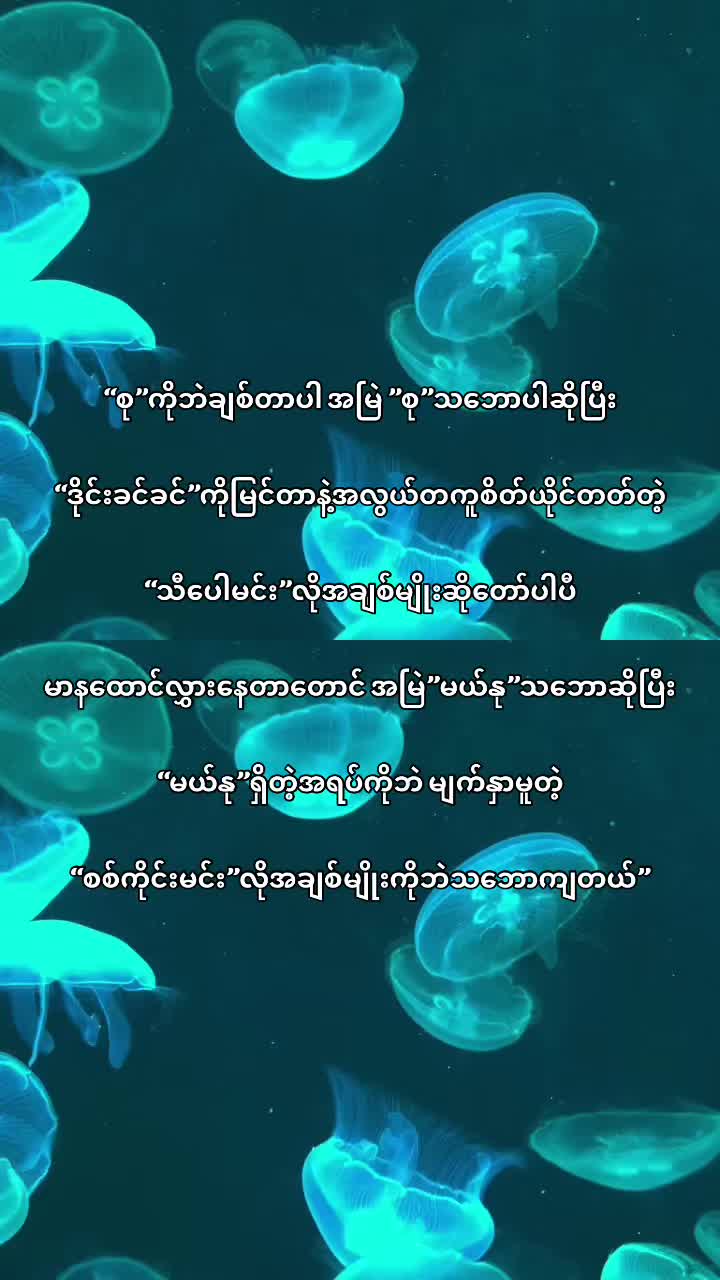 @𝐊𝐡𝐚𝐢𝐧𝐠🪼(ခိုင်မွန်သန့်)